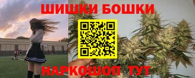 индика Будённовск