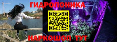 индика Будённовск