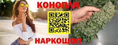 индика Будённовск