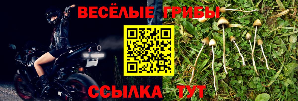 Галлюциногенные грибы Psilocybine cubensis  Галлюциногенные грибы ЛСД  Магадан  где купить наркотик  Вход с VPN 