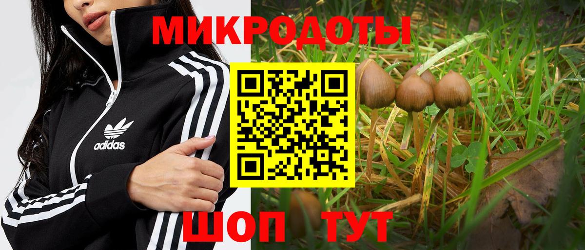 Псилоцибиновые грибы Magic Shrooms Магадан